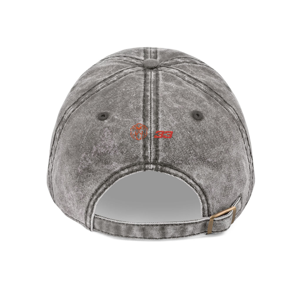 Unleash The Lion #33 Max Verstappen Vintage Embroidered Baseball Cap – Distressed Retro Logo Hat
