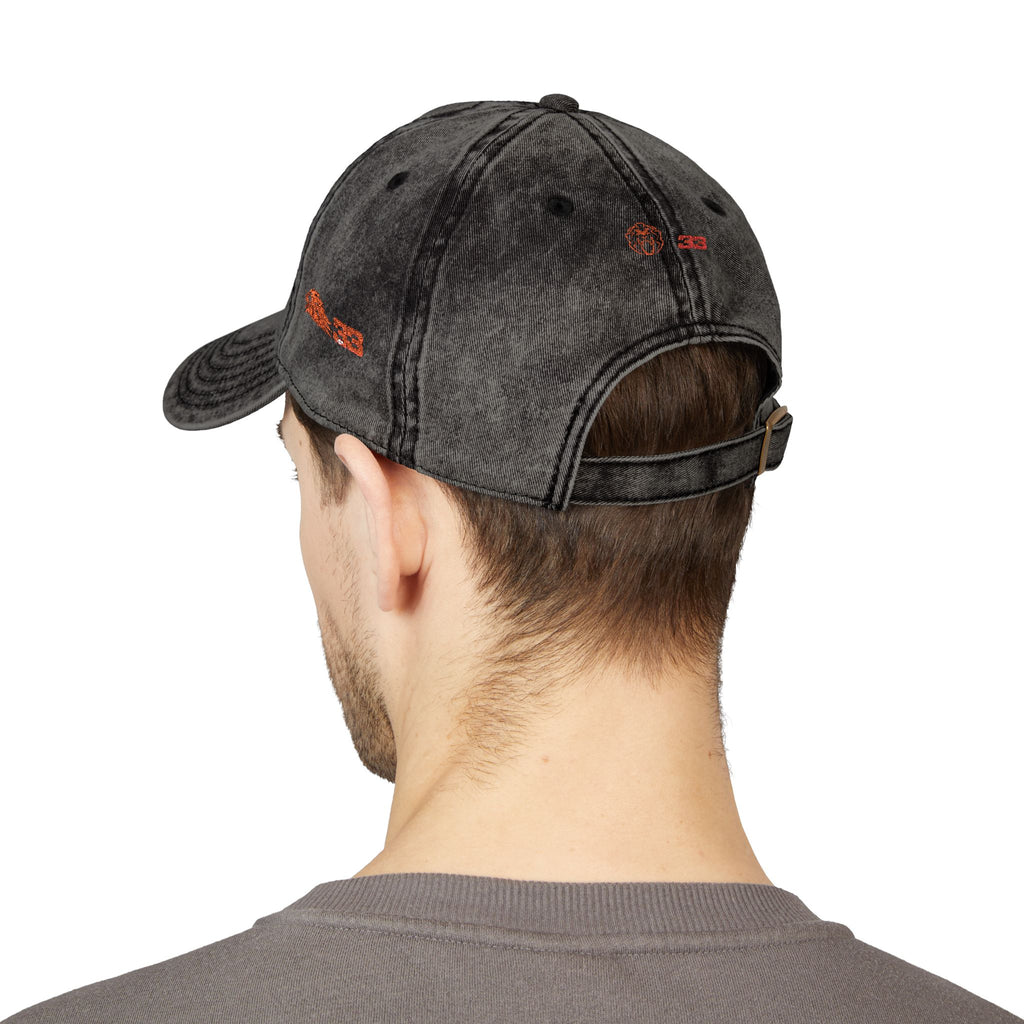 Unleash The Lion #33 Max Verstappen Vintage Embroidered Baseball Cap – Distressed Retro Logo Hat