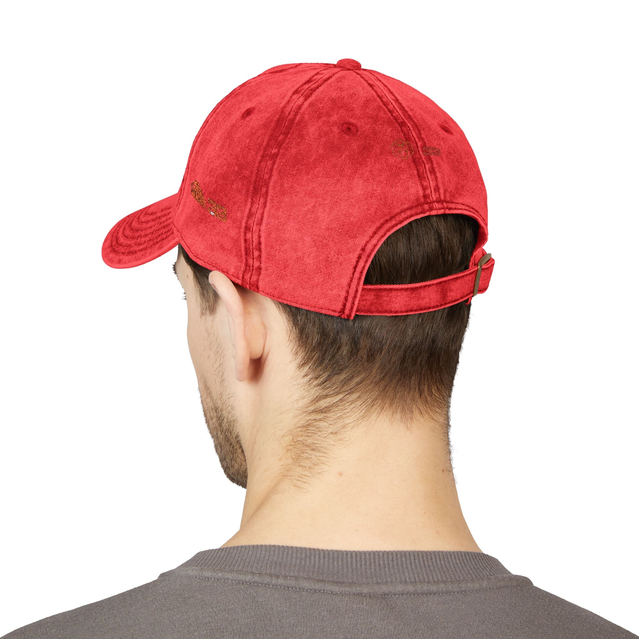 Unleash The Lion #33 Max Verstappen Vintage Embroidered Baseball Cap – Distressed Retro Logo Hat