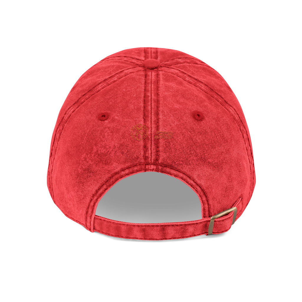 Unleash The Lion #33 Max Verstappen Vintage Embroidered Baseball Cap – Distressed Retro Logo Hat